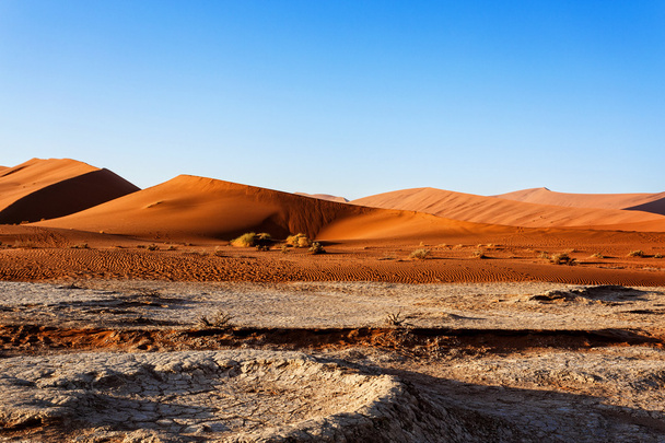 hermoso paisaje de Hidden Vlei en el desierto de Namib
  - Foto, Imagen