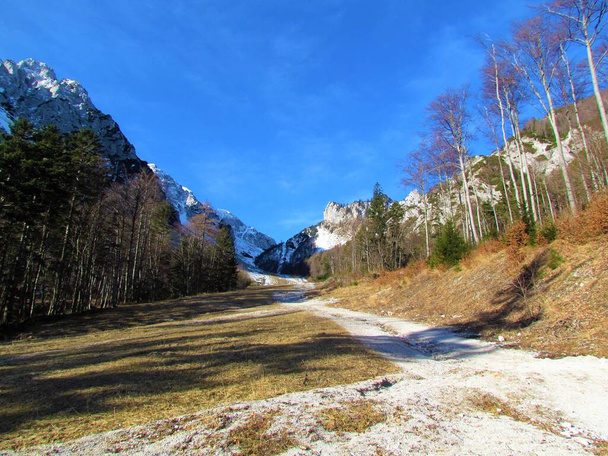 Valle sobre Ljubelj en las montañas Karavanke en la región de Gorenjska de Eslovenia en un día soleado con cielo azul claro - Foto, Imagen