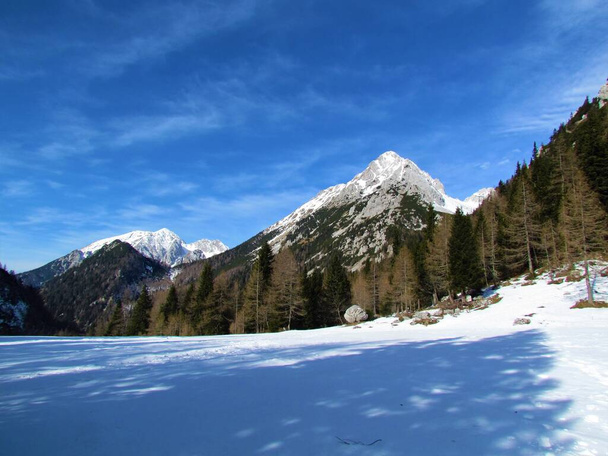 Vista de las montañas Vrtaca en Karavanke montañas de Zelenica en la región de Gorenjska de Eslovenia con un prado cubierto de nieve en Zelenica en frente - Foto, imagen