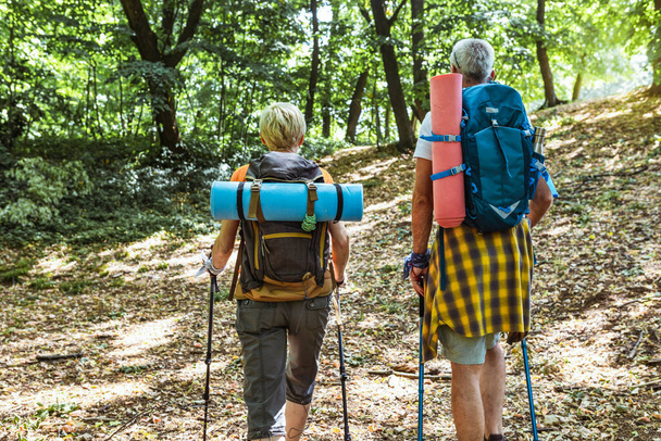 Coppia anziana escursioni nella foresta indossando zaini e bastoni da trekking. Nordic walking, trekking. Stile di vita sano. - Foto, immagini