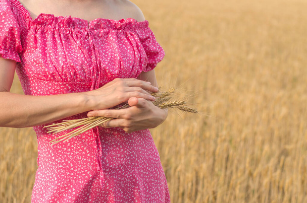 Femme méconnaissable dans un champ de blé tenant des épillets de blé dans ses mains, foyer sélectif. Champ de blé, récolte - Photo, image