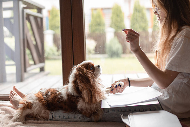 Side view of young woman wearing white T-shirt, glasses, sitting with Cavalier King Charles spaniel at patio door, putting papers on legs, holding dog food. Distance education, remote work, pet love. - 写真・画像
