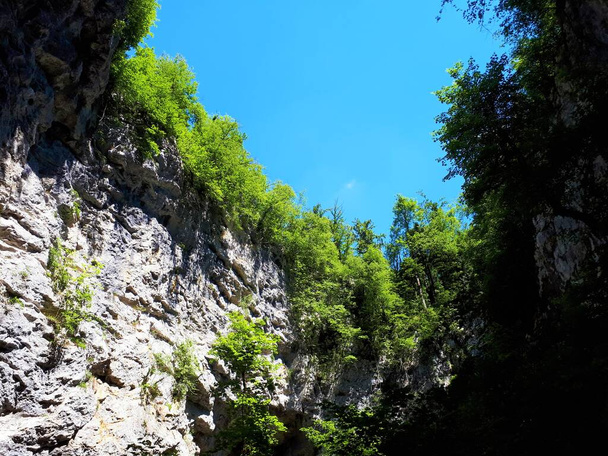 Vertical cliffs above Zelske caves in Rakov Skocjan in Notranjska region of Slovenia with a forest foliage above - Zdjęcie, obraz