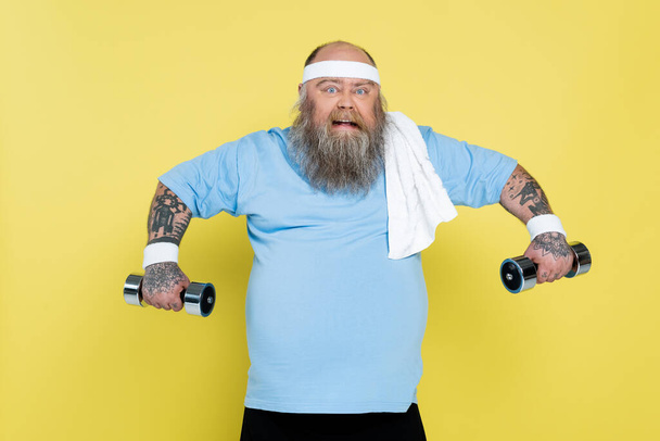 hombre con sobrepeso tatuado haciendo muecas mientras entrenaba con pesadas pesas aisladas en amarillo - Foto, Imagen