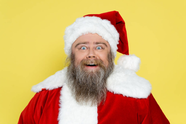 excited and chubby santa claus with bulging eyes looking at camera isolated on yellow - Fotoğraf, Görsel