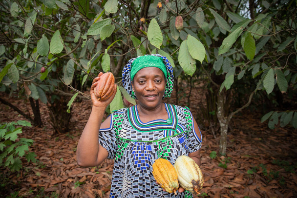 African farmer with freshly harvested cocoa pods from her plantation - Foto, Imagem