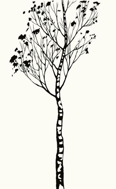 Vysoký romantický venkovní zimní les tvar večer obloha scénický pohled světlý papír textový prostor. lineární tmavý inkoust pero ručně kreslené dřevěná scéna obrázek logo rámeček banner design umělecký retro styl - Vektor, obrázek