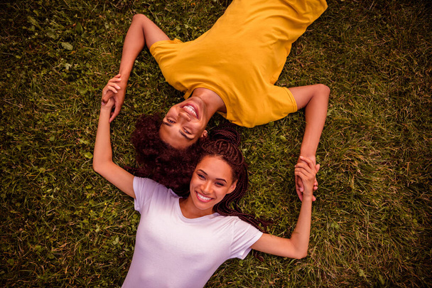 Top above high angle view portrait of attractive cheerful couple best friends friendship lying on fresh grass relax free time outdoors. - Foto, immagini