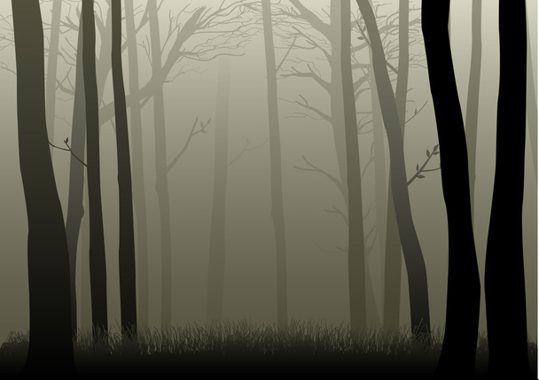 ködös erdő - Vektor, kép