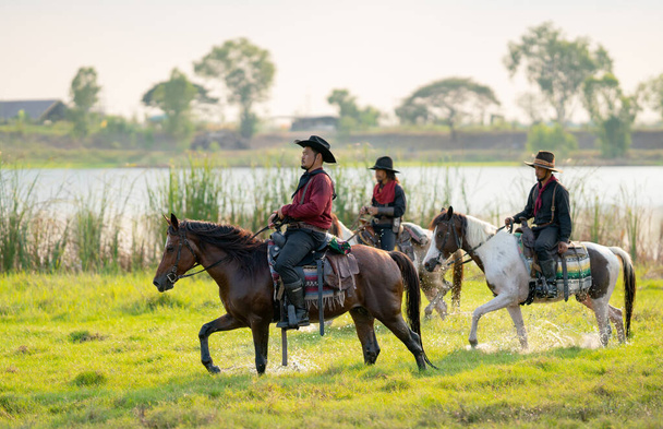 Gruppe von Cowboy-Steuerpferden spaziert durch Grasfeld mit Wasser in der Nähe des Flusses und zeigt beim Spazierengehen einige Spritzer. - Foto, Bild