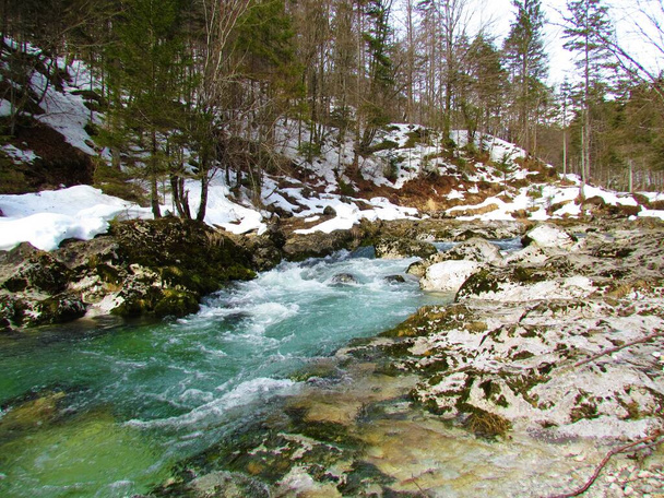 Mostnica Creek u Kority Mostnice v Gorenjské, Slovinsko v zimě - Fotografie, Obrázek