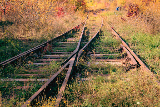 Ένας παλιός διακόπτης τρένου. Μια διασταύρωση ενός ανενεργού παλιού σιδηροδρόμου το φθινόπωρο σε μια ηλιόλουστη μέρα. Μια σιδηροδρομική κλίνη σε ένα φθινόπωρο δάσος - Φωτογραφία, εικόνα
