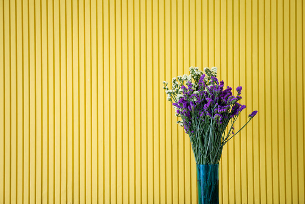 Yellow and purple flower in pot on yellow background. - 写真・画像