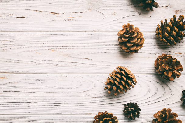 Christmas pine cones on colored paper border composition. Christmas, New Year, winter concept. Flat lay, top view, copy space. - Φωτογραφία, εικόνα
