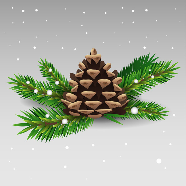Pine cone - Vector, Image