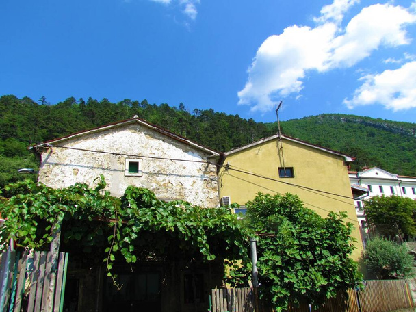 Hagyományos házak házaspár Vipava városban Szlovénia tengerparti régiójában és szőlő szőlő termesztés előtt és erdő borította dombok felett - Fotó, kép