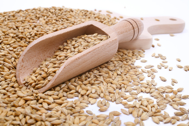 Wood spoon with whole wheat grains - Photo, Image