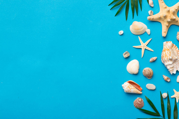 Summer time concept Flat lay composition with beautiful starfish and sea shells on colored table, top view with copy space for text. - Foto, Imagem