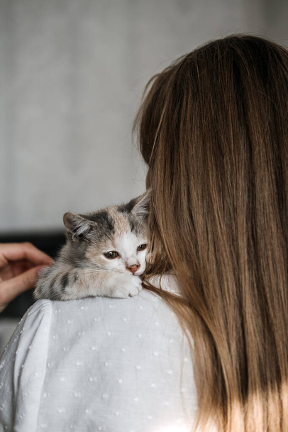 Cat Adoption, Hyväksy kissanpentu pelastuksista ja turvakodeista. Muotokuva naisesta, joka leikkii kodittomien kanssa adoptoitu harmaa kissanpentu sängyssä kotona - Valokuva, kuva