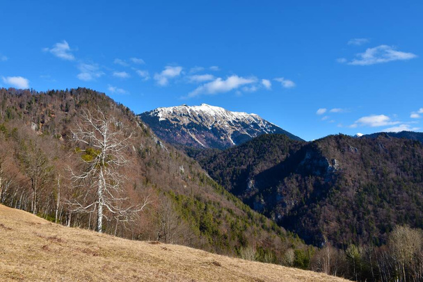 View of mountain Begunjscica in Karavanke mountain range in Gorenjska, Slovenia - Photo, Image