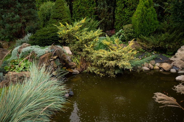Cobblestone and plants to strengthen the pond in the garden in landscape design - 写真・画像
