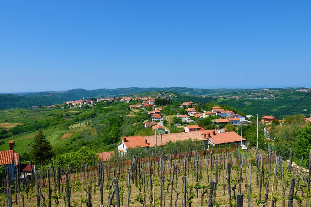 Smarje villaggio sulle colline dell'Istria slovena nel comune di Koper - Foto, immagini