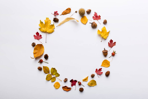 Őszi összetétele szárított levelekből, tobozokból és makkokból az asztalon. Lapos fekvés, felülnézet, másolás. - Fotó, kép