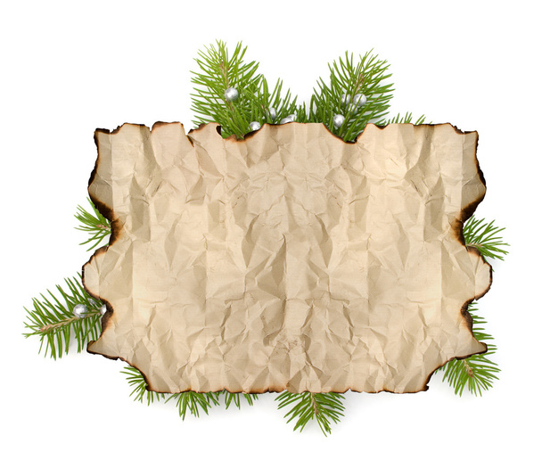 Старая пергаментная бумага на ветке елки
 - Фото, изображение