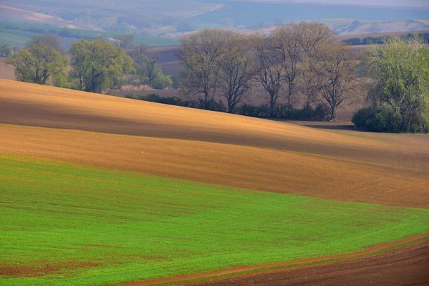 Bela paisagem rolante na Morávia do Sul chamada Toscana Morávia. República Checa. Foto de alta qualidade - Foto, Imagem