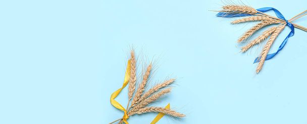 Kolce pszenicy i wstążki w kolorach ukraińskiej flagi na jasnoniebieskim tle z miejscem na tekst - Zdjęcie, obraz