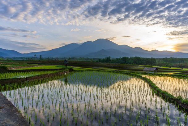 vista mattutina di montagne e terrazze di risaie e agricoltori con acqua limpida in un villaggio fresco e bello - Foto, immagini