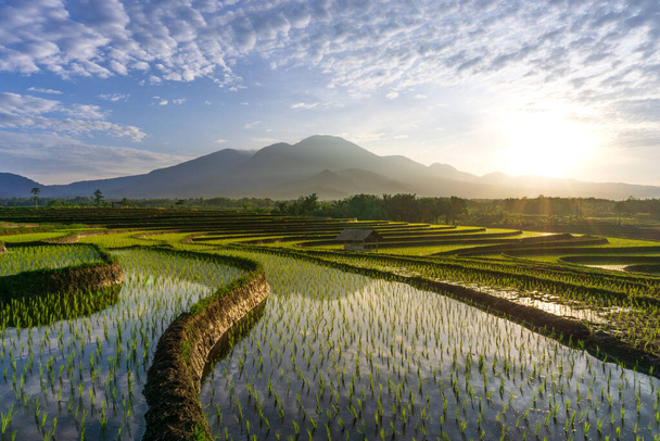Panoramablick auf Bergreflexionen und schöne Reisterrassen am Morgen - Foto, Bild