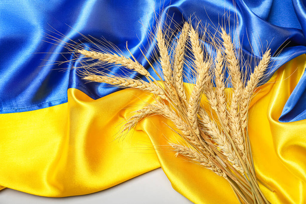 Καρύδια σιταριού και σημαία της Ουκρανίας σε ελαφρύ φόντο - Φωτογραφία, εικόνα