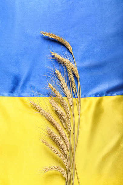 Wheat spikelets on flag of Ukraine - Foto, Imagen