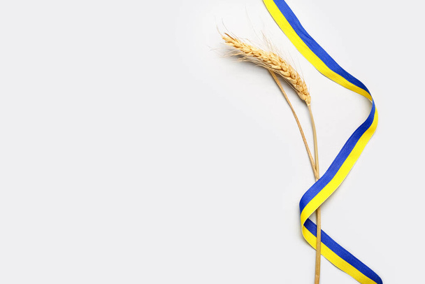 Wheat spikelet and ribbons in colors of Ukrainian flag on light background - 写真・画像