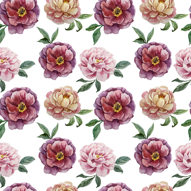 Beautiful vector watercolor pattern with peonies on white fon3 - Vector, afbeelding