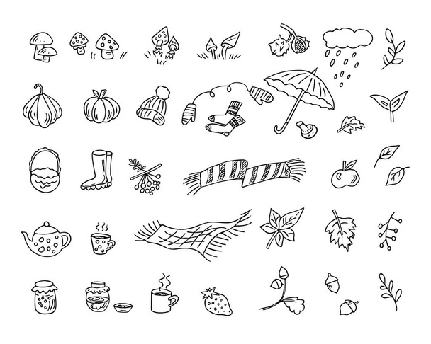 Doodle autumn set, hand drawn elements for cold weather. Berries, leaves, fruits, harvest, teapot and cups, knitted accessories. Sketch,freehand minimalistic design, child drawing.Isolated - Vector, imagen