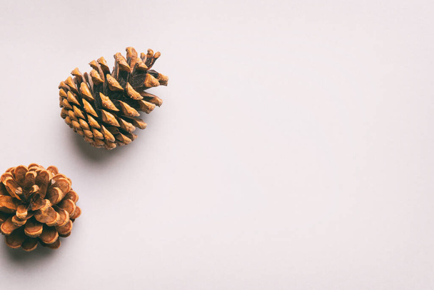 Conos de pino de Navidad en composición de borde de papel de color. Navidad, Año Nuevo, concepto de invierno. Plano, vista superior, espacio para copiar. - Foto, imagen