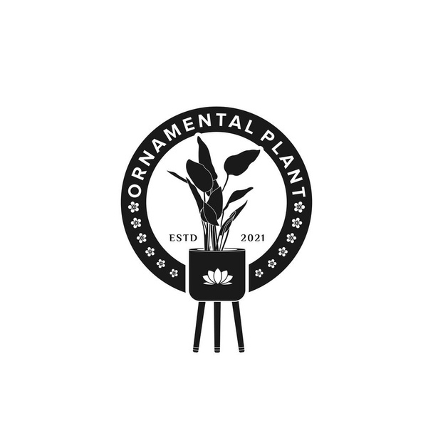 Taro Plants In Pots Ornamental Plant Logo Inspiration Design - Vector, Image