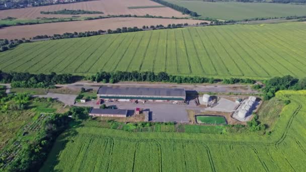 ilmakuva maatilan rakennuksista, joita ympäröivät maatalouspellot. drooninäkökulma - Materiaali, video