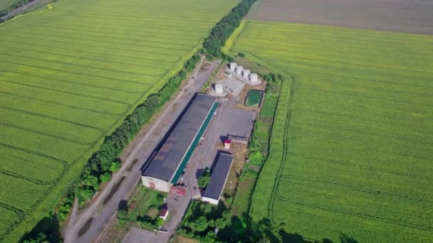 воздушный вид на фермерские здания, окруженные сельскохозяйственными полями. точка обзора дрона - Кадры, видео