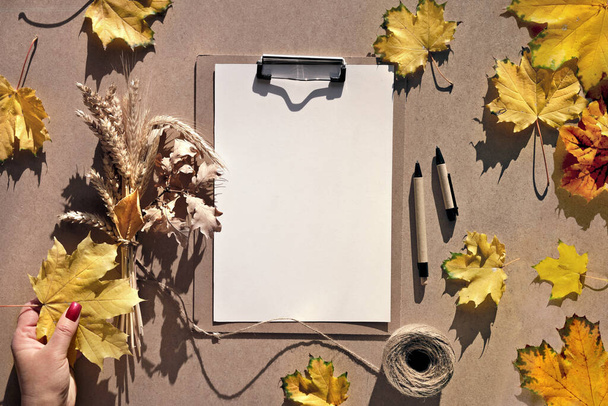 Autumn mockup, white paper on paper pad. Natural Fall leaves, wheat ears, small pumpkins, dry oak leaves in hand. Copy-space, text place. Flat lay, top view, sunlight, long shadows. - Foto, Imagen