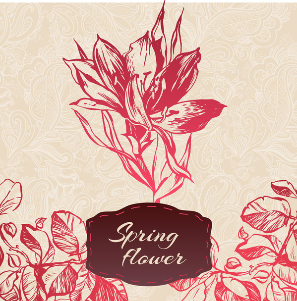 Floral lilly background - Vector, Image