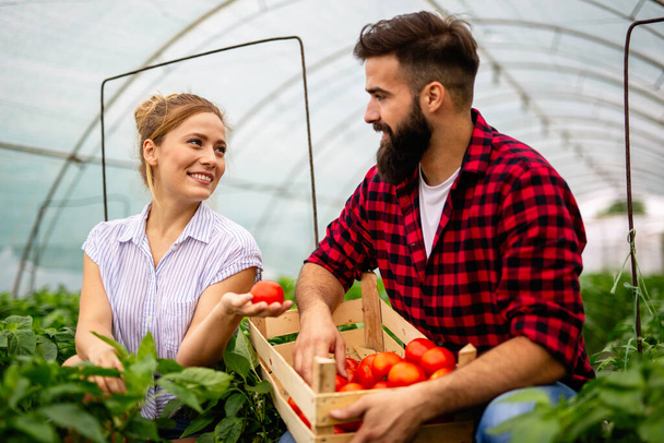 Happy young smiling couple working in greenhouse, growing organic food. People bio food health concept - Zdjęcie, obraz