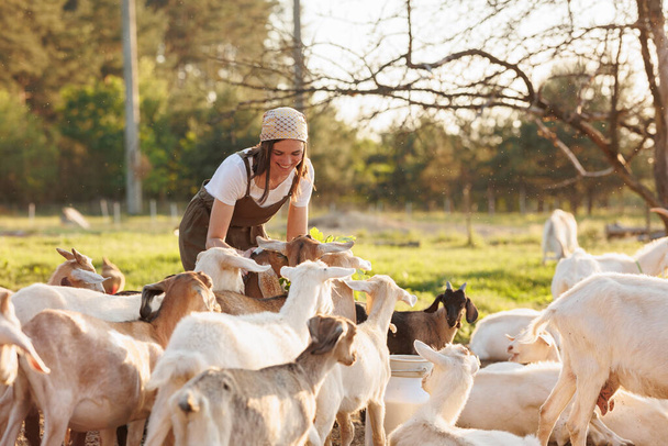 Female farmer taking care of cute goats. Young woman getting pet therapy at ranch. Animal husbandry for the industrial production of goat milk dairy products.Agriculture business and cattle farming - Foto, imagen