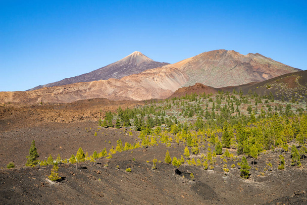 удивительный ландшафт национального парка Эль Тейде  - Фото, изображение