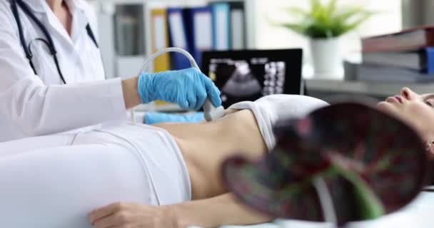Diagnostic échographique de l'estomac sur la cavité abdominale et le foie. Le médecin passe une sonde à ultrasons sur le ventre du patient et regarde l'image à l'écran. - Séquence, vidéo