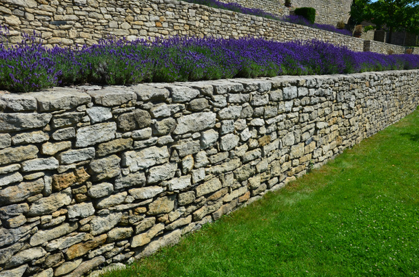 terraces with stairs in a sloping park. stone retaining walls with light stone. blue lavender and pink roses with perennials grow on the edge of the wall. lawns and gravel path, led, footpath, castle - Photo, Image