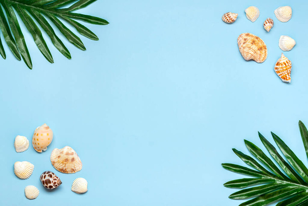 frame of shells, palm leaves on blue background Flat lay Top view Summer, travel, vacation concept. - Fotó, kép