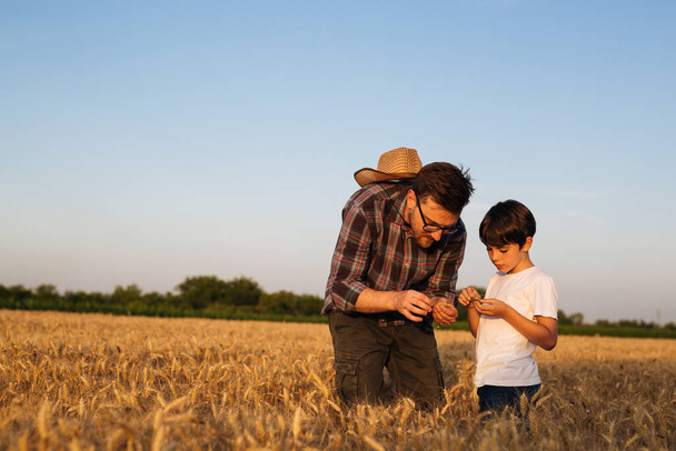 Ο πατέρας μαθαίνει το γιο του για τις αγροτικές επιχειρήσεις. στέκονται στο χωράφι με το σιτάρι και κοιτάζουν την καλλιέργεια σιταριού - Φωτογραφία, εικόνα